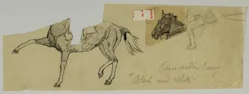 partie d'un ensemble de dessins Cheval de cirque 1968.102.4142  Photo Mucem