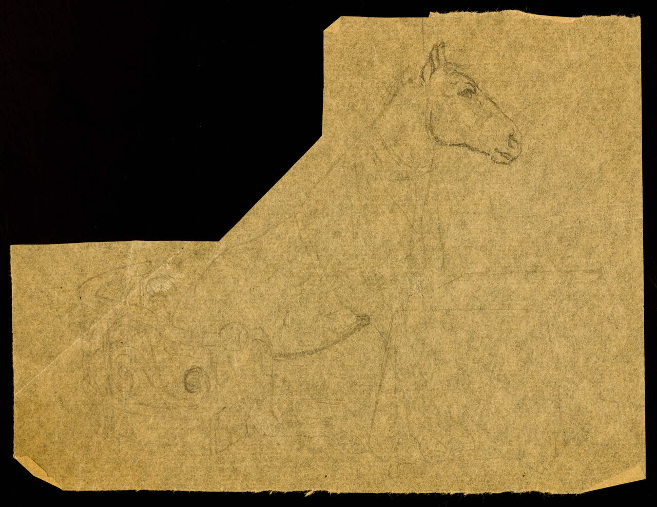 partie d'un ensemble de dessins Cheval à table 1968.102.4143 Photo Mucem