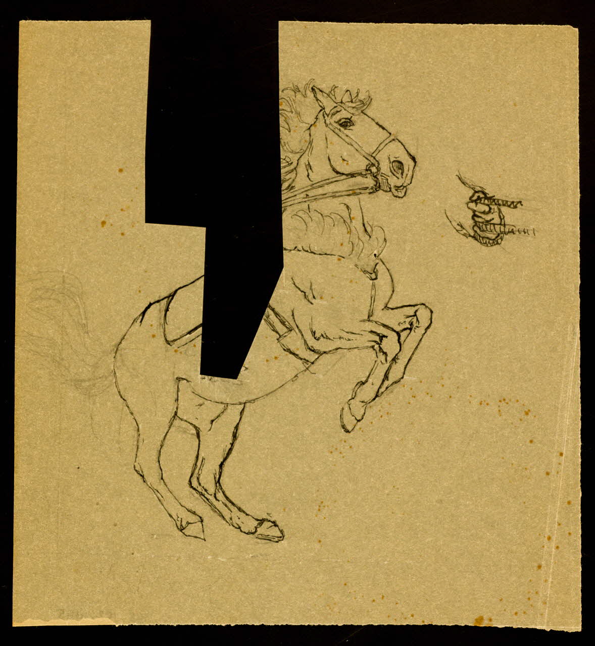 partie d'un ensemble de dessins Cheval cabré 1968.102.4145 Photo Mucem