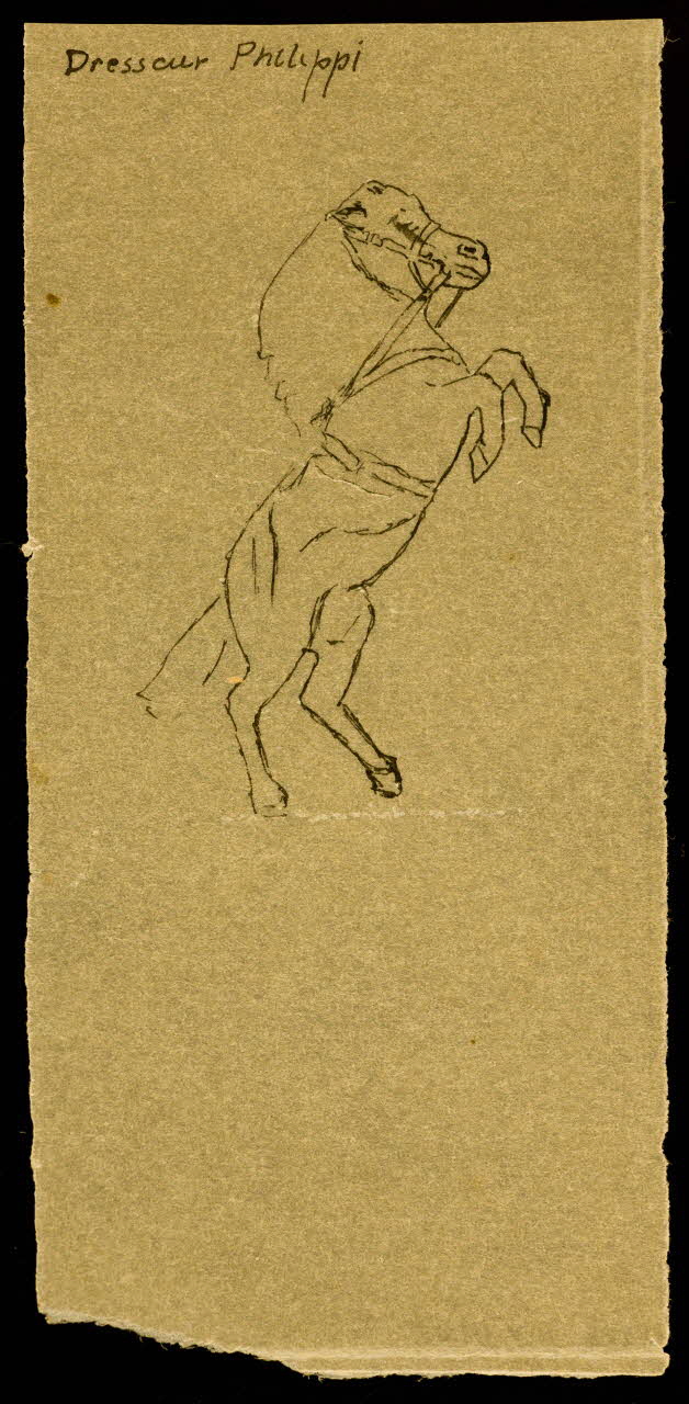 partie d'un ensemble de dessins Dresseur Philippi 1968.102.4146 Photo Mucem
