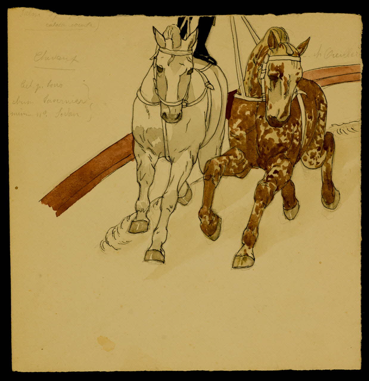 partie d'un ensemble de dessins Chevaux 1968.102.4153 Photo Mucem