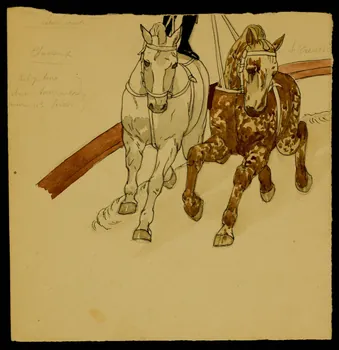 partie d'un ensemble de dessins Chevaux 1968.102.4153 Photo Mucem