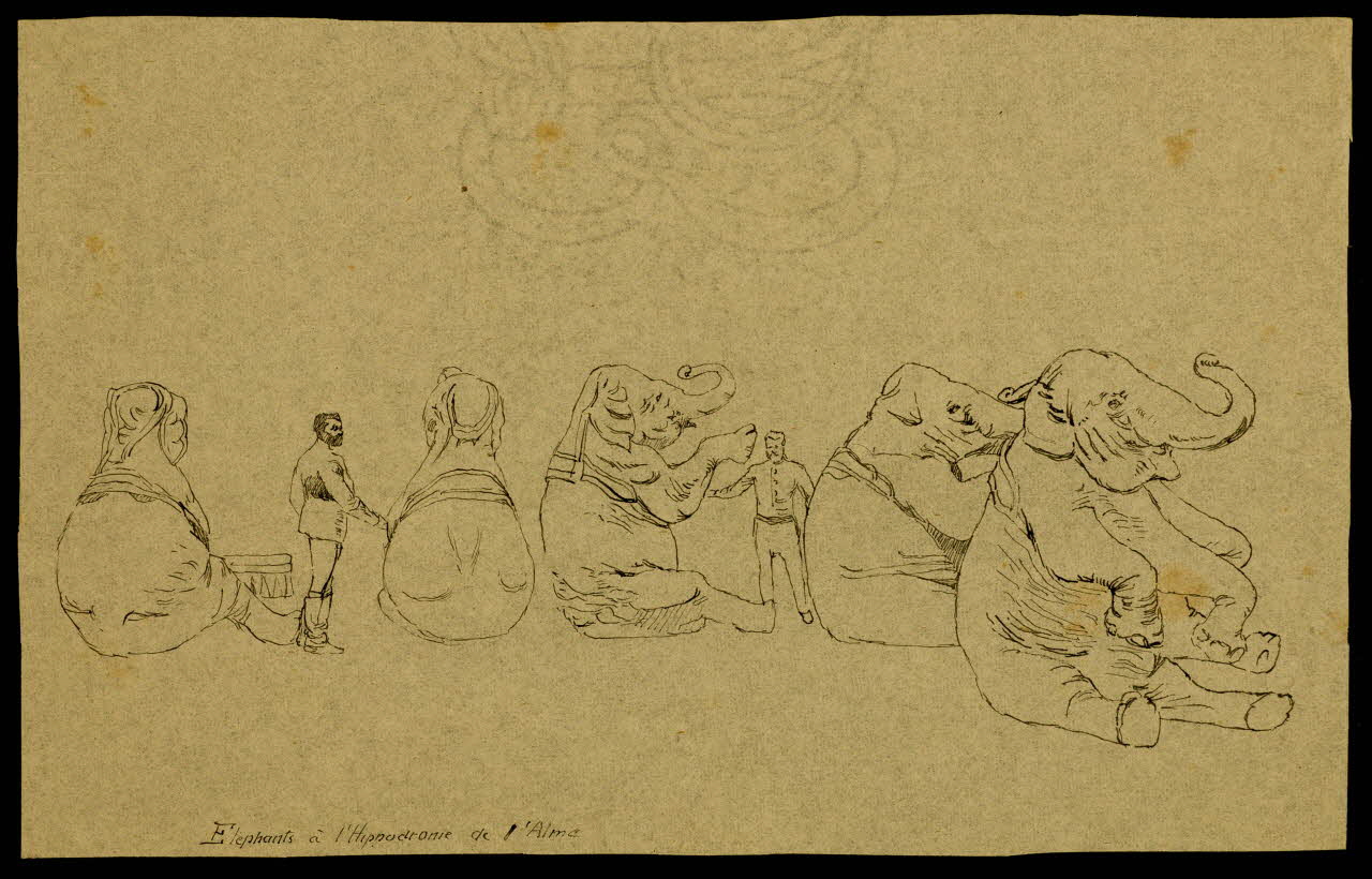 partie d'un ensemble de dessins Elephants à l'Hippodrome de l'Alma 1968.102.4162 Photo Mucem