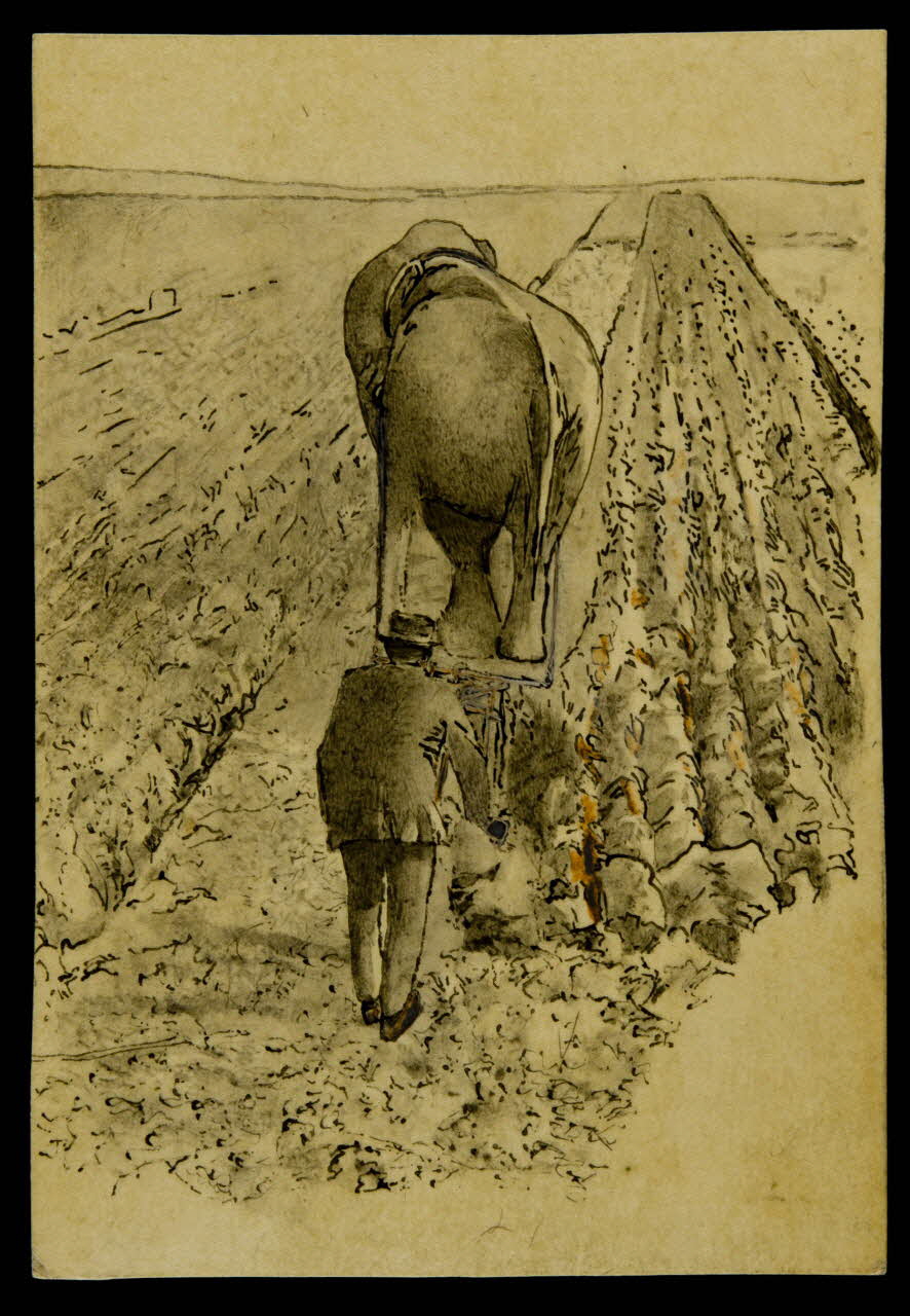 partie d'un ensemble de dessins Eléphant employé au labourage  en Angleterre 1968.102.4169 Photo Mucem