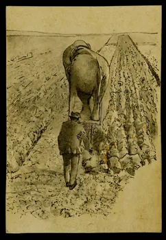 partie d'un ensemble de dessins Eléphant employé au labourage  en Angleterre 1968.102.4169 Photo Mucem