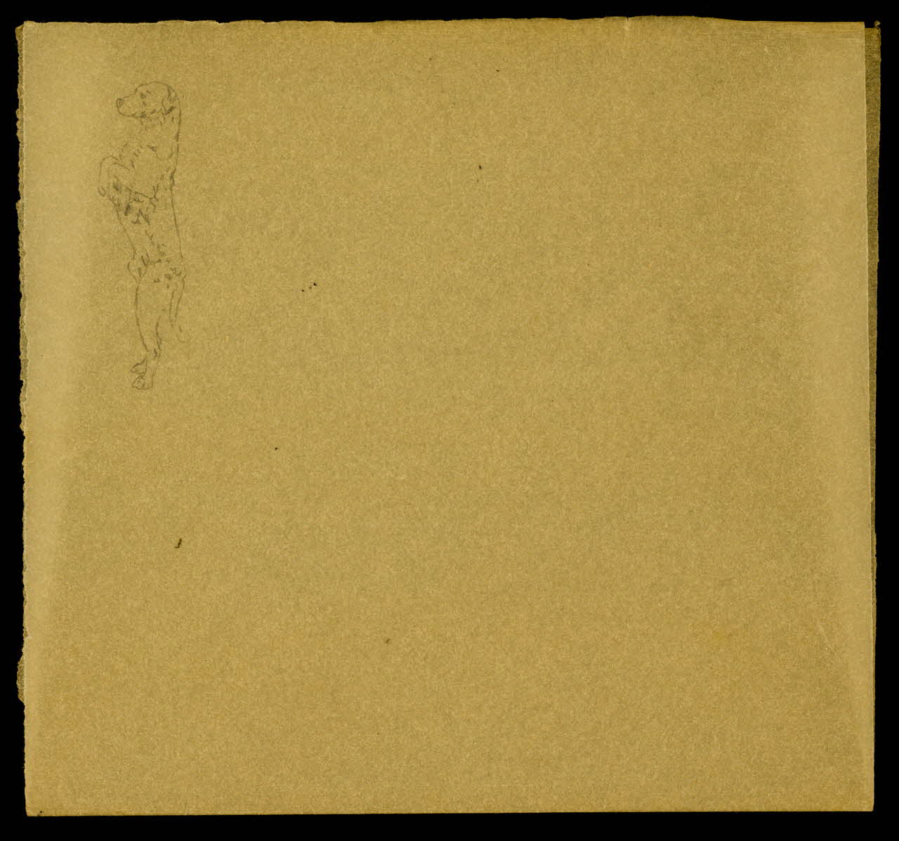 partie d'un ensemble de dessins Chien sur ses pattes arrières 1968.102.4185 Photo Mucem