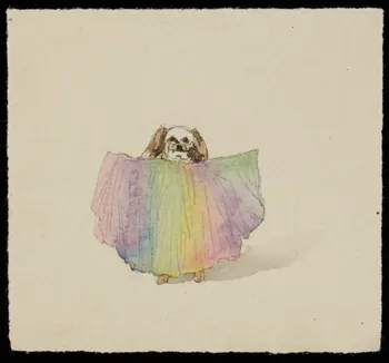 partie d'un ensemble de dessins Chien derrière un rideau 1968.102.4204  Photo Mucem