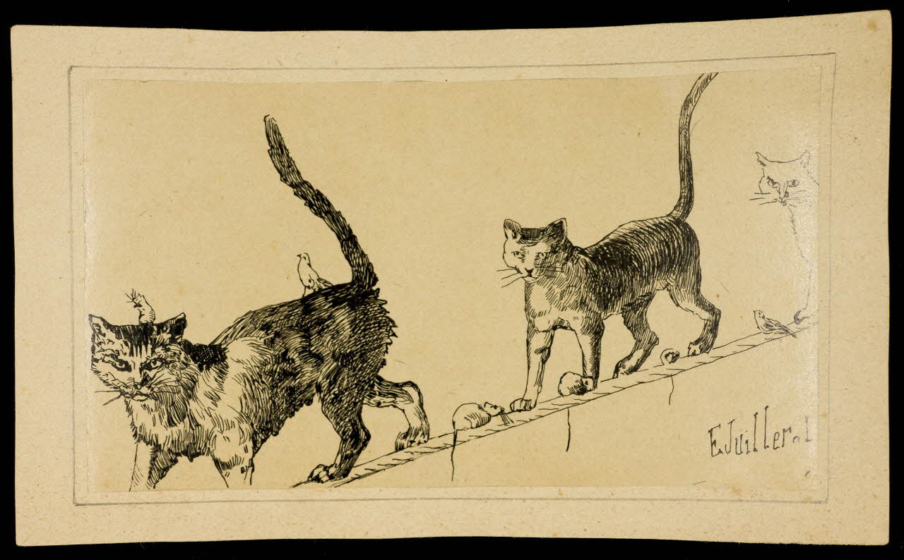 partie d'un ensemble de dessins 5 novembre 1887  Cirque d'Hiver  Les chats du dresseur Hollandais Bonnethy 1968.102.4215 Photo Mucem