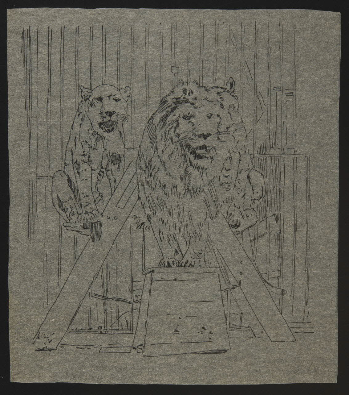 partie d'un ensemble de dessins Lionne 1968.102.4231 Photo Mucem