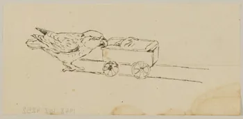 partie d'un ensemble de dessins Oiseau et landau 1968.102.4252  Photo Mucem