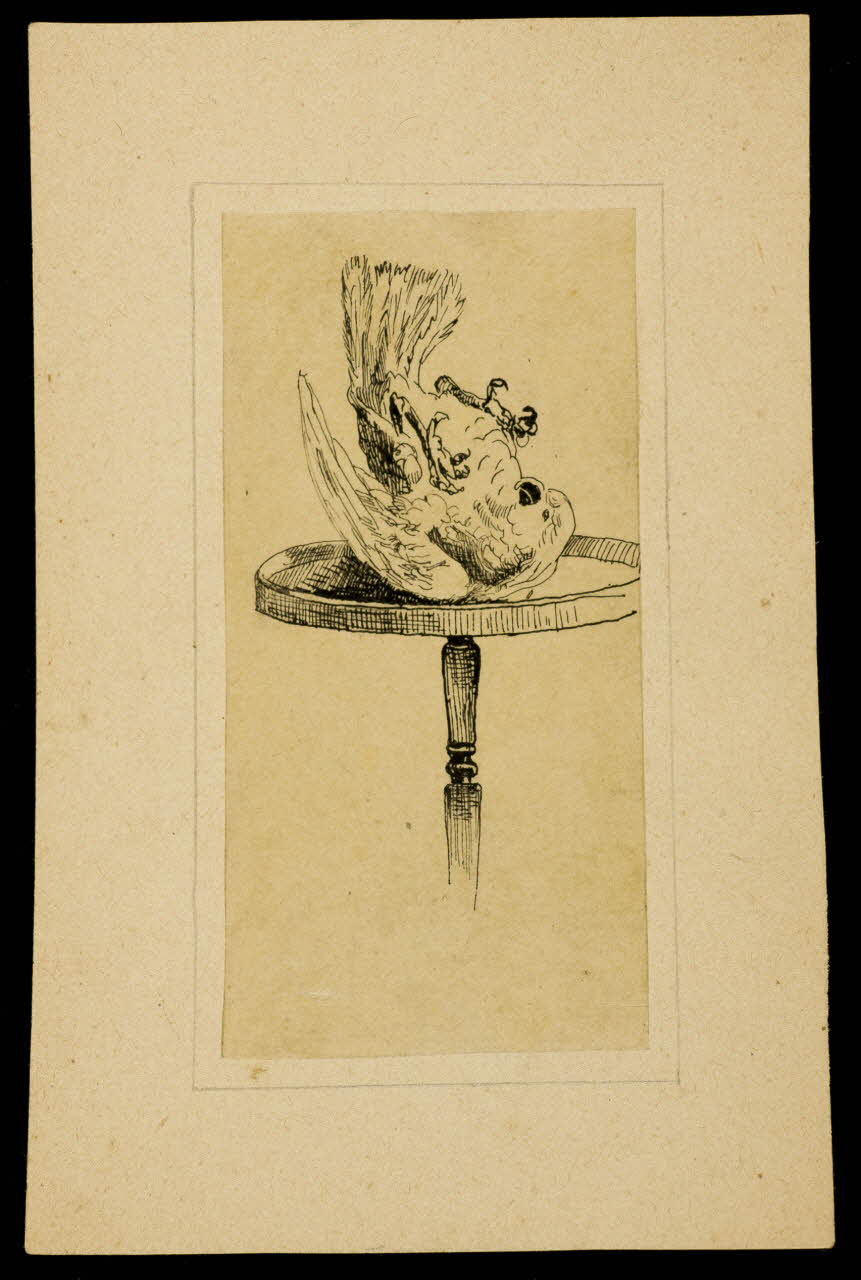 partie d'un ensemble de dessins Perroquet acrobate 1968.102.4257 Photo Mucem