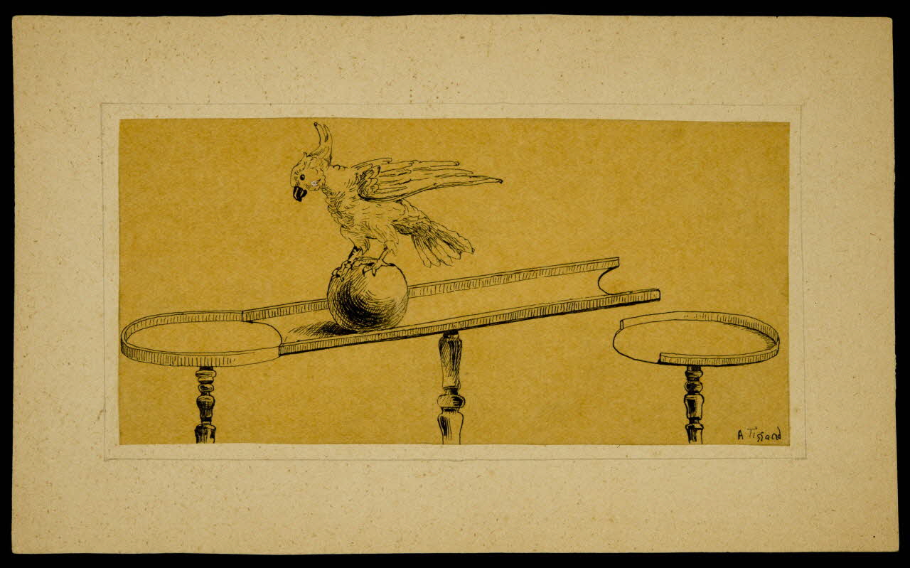 partie d'un ensemble de dessins Perroquet acrobate 1968.102.4258 Photo Mucem