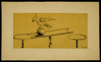 partie d'un ensemble de dessins Perroquet acrobate 1968.102.4258 Photo Mucem