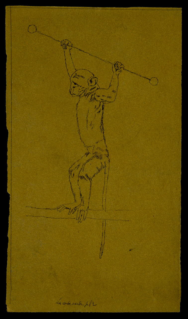 partie d'un ensemble de dessins Singe funambule 1968.102.4263 Photo Mucem