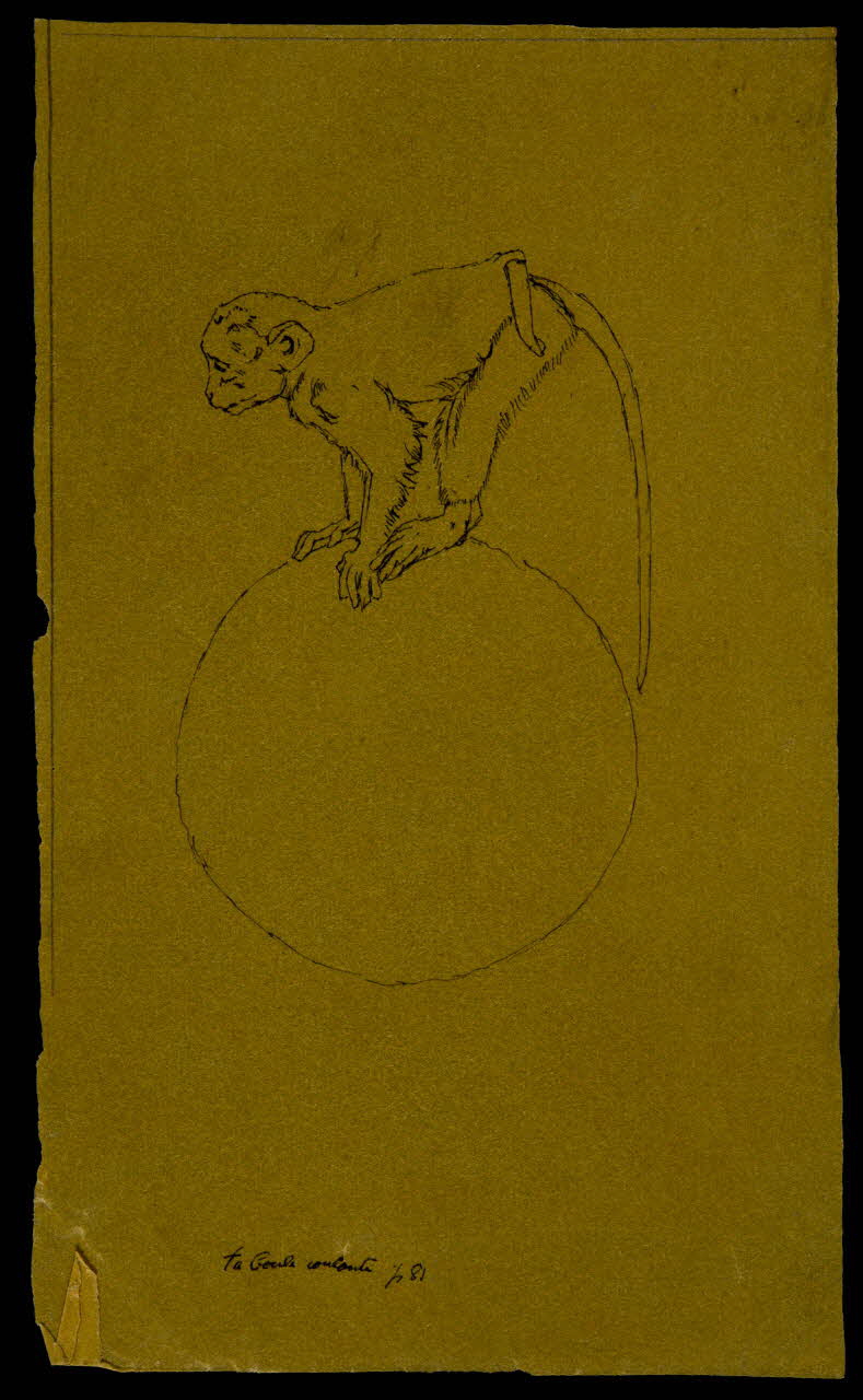 partie d'un ensemble de dessins la boule roulante 1968.102.4266 Photo Mucem