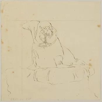 partie d'un ensemble de dessins Morse jouant du cor 1968.102.4285  Photo Mucem
