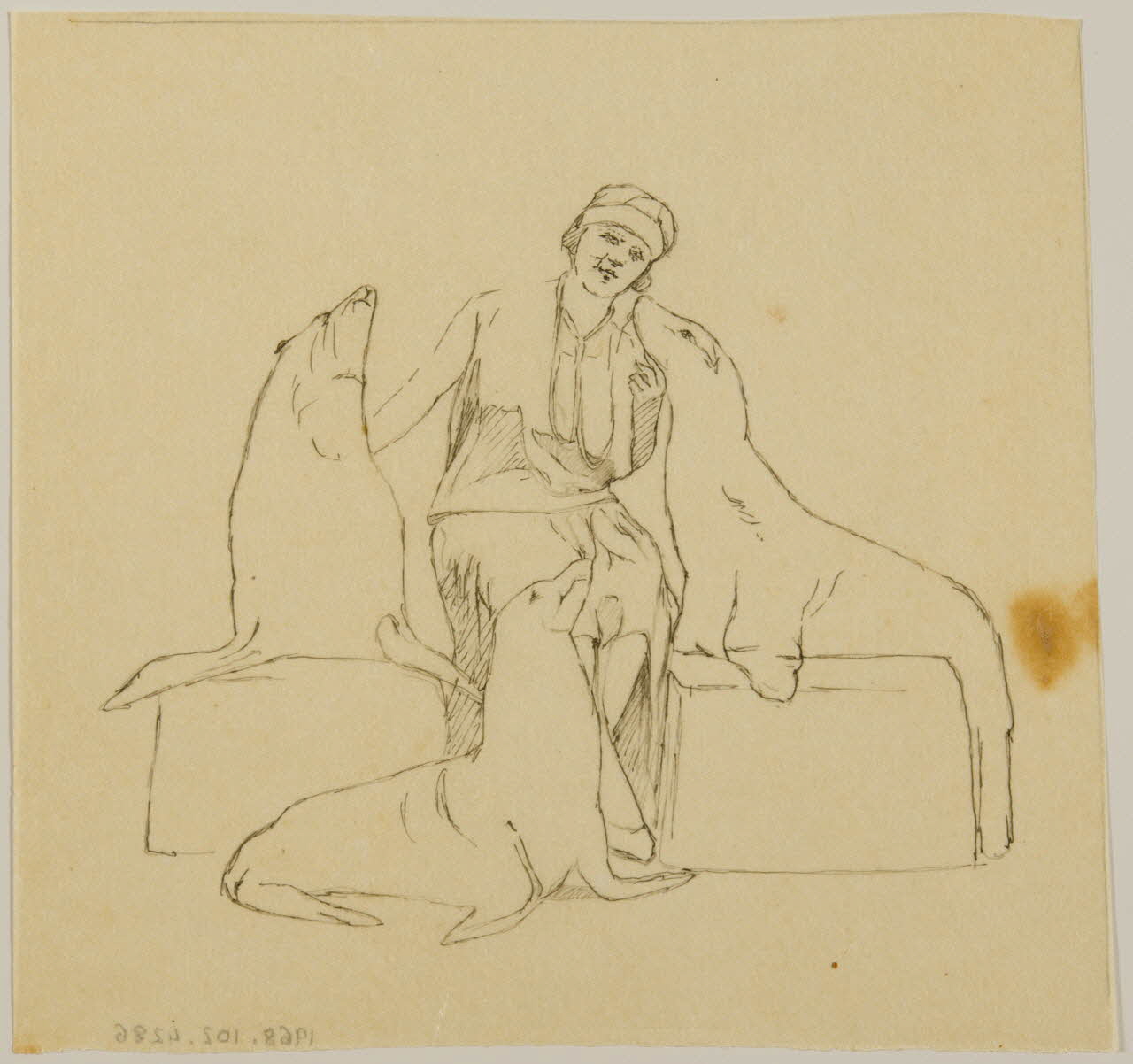 partie d'un ensemble de dessins Dresseuse et ses otaries 1968.102.4286 Photo Mucem