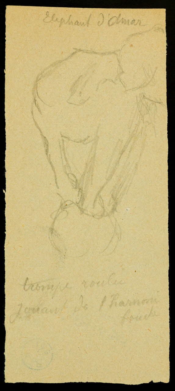 partie d'un ensemble de dessins Elephant d'Amar 1968.102.429.2 Photo Mucem