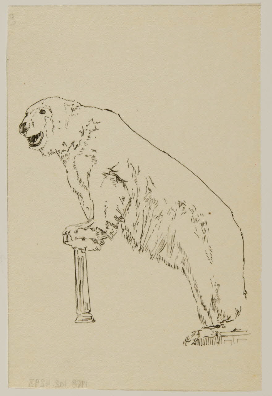 partie d'un ensemble de dessins Ours 1968.102.4293 Photo Mucem