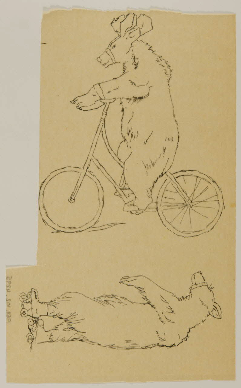 partie d'un ensemble de dessins Ours acrobate 1968.102.4295 Photo Mucem