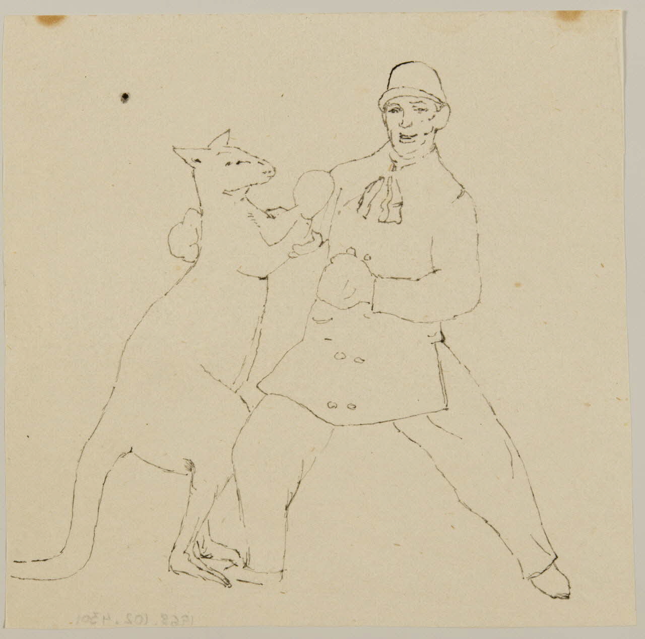 partie d'un ensemble de dessins Combat de boxe entre un homme et un kangourou 1968.102.4301 Photo Mucem