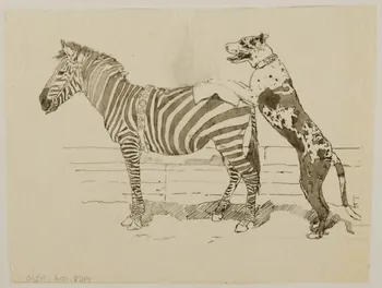 partie d'un ensemble de dessins Numéro de cirque avec un zèbre et un chien 1968.102.4310 Photo Mucem