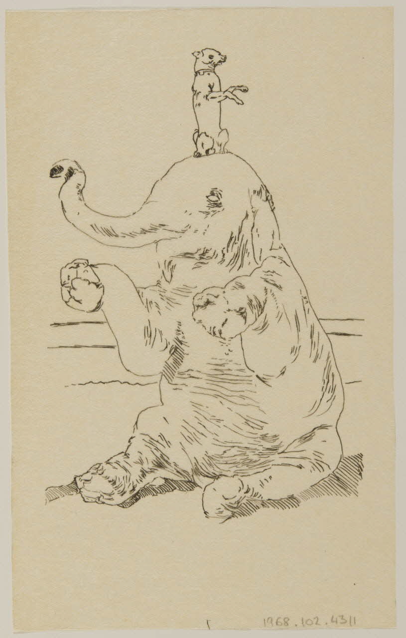 partie d'un ensemble de dessins Petit chien sur la tête d'un éléphant 1968.102.4311 Photo Mucem