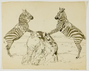 partie d'un ensemble de dessins Animaux de cirque 1968.102.4314 Photo Mucem