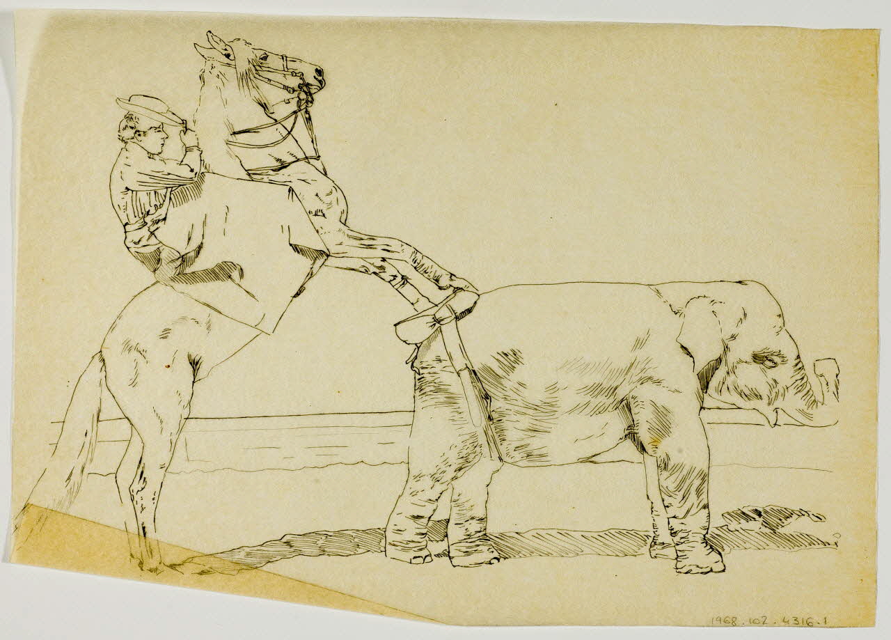 partie d'un ensemble de dessins Animaux de cirque 1968.102.4316.1 Photo Mucem