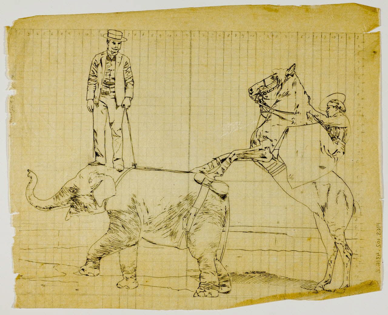partie d'un ensemble de dessins Animaux de cirque 1968.102.4316.2 Photo Mucem