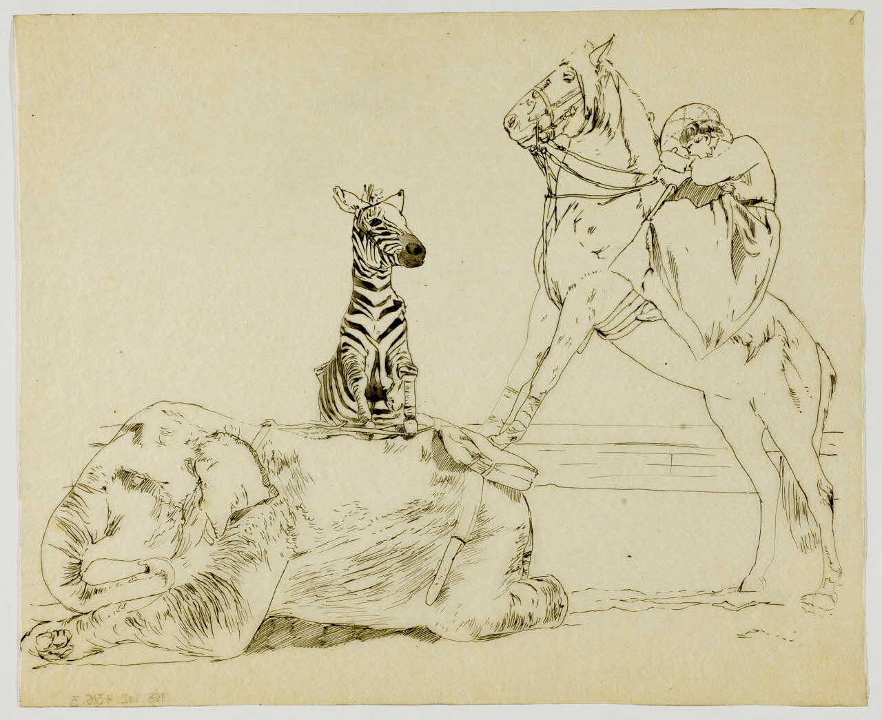 partie d'un ensemble de dessins Animaux de cirque 1968.102.4316.3 Photo Mucem