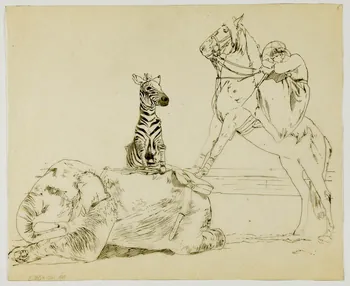 partie d'un ensemble de dessins Animaux de cirque 1968.102.4316.3 Photo Mucem