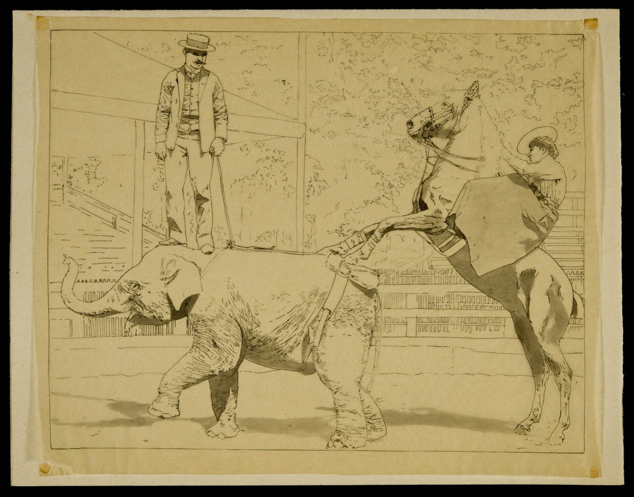 partie d'un ensemble de dessins Animaux de cirque et leur dresseur 1968.102.4316.5 Photo Mucem