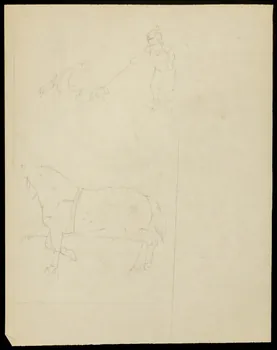 partie d'un ensemble de dessins Animaux dressés 1968.102.4318  Photo Mucem