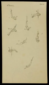 partie d'un ensemble de dessins Mlle Amelia 1968.102.441 Photo Mucem