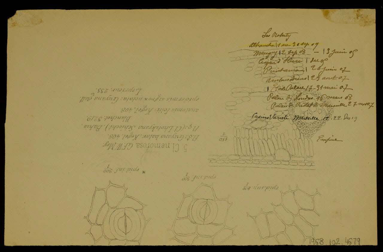 partie d'un ensemble de dessins Les Roberty 1968.102.4679 Photo Mucem