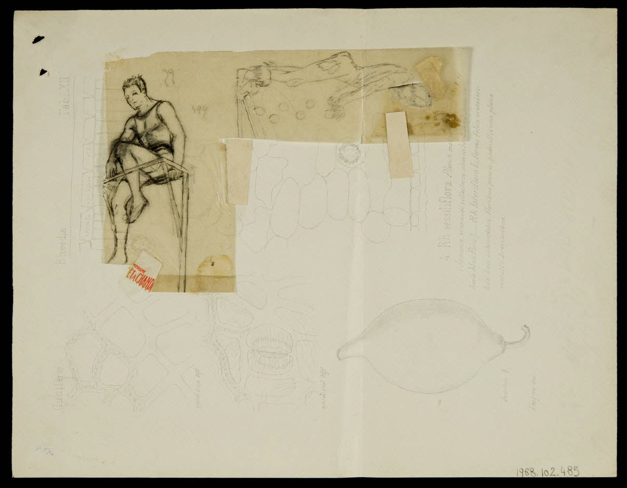 partie d'un ensemble de dessins Andreu 1968.102.485 Photo Mucem