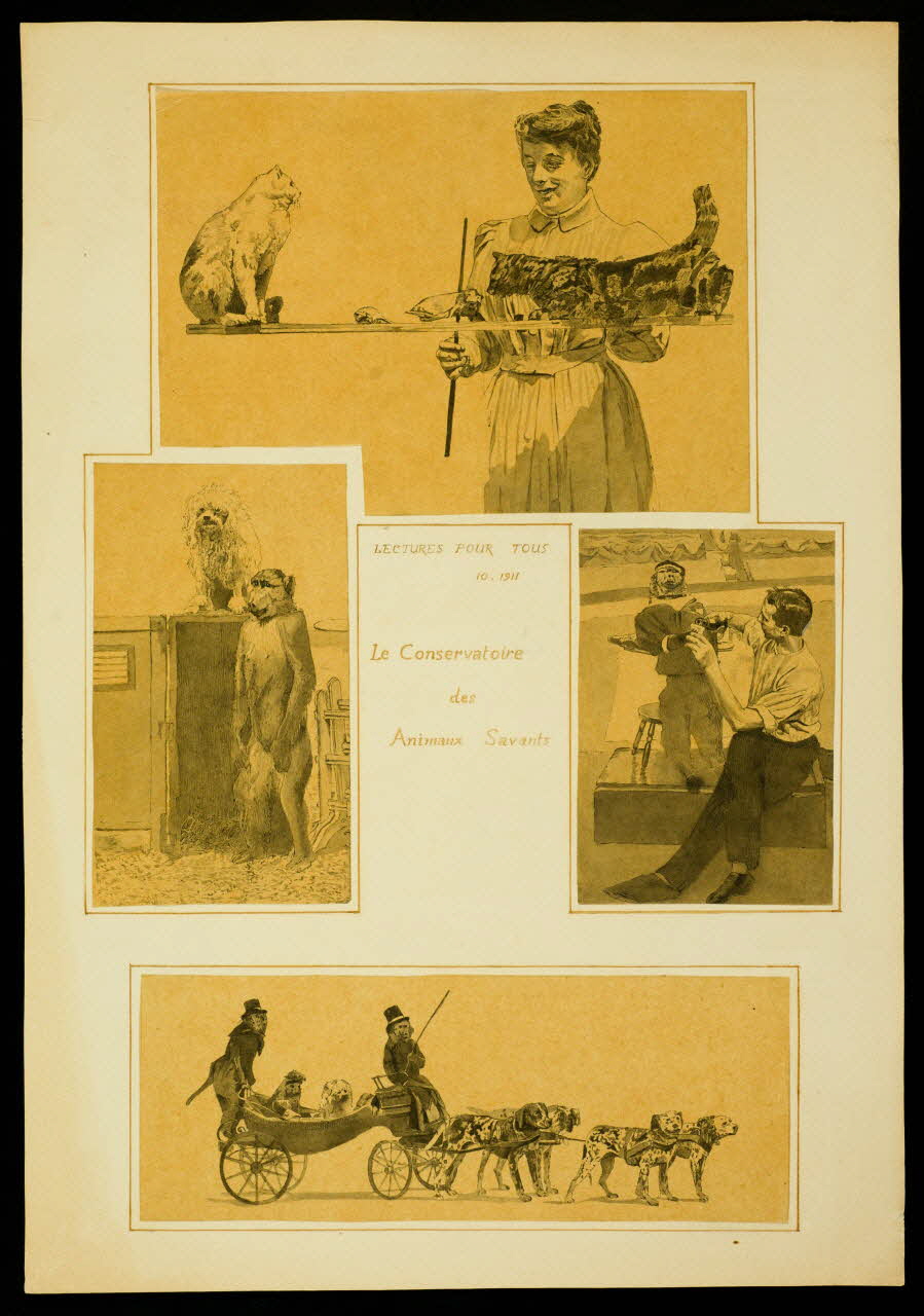 partie d'un ensemble de dessins Le Conservatoire  des Animaux Savants 1968.102.4911 Photo Mucem