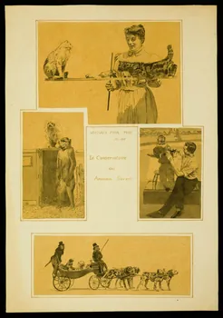 partie d'un ensemble de dessins Le Conservatoire  des Animaux Savants 1968.102.4911  Photo Mucem