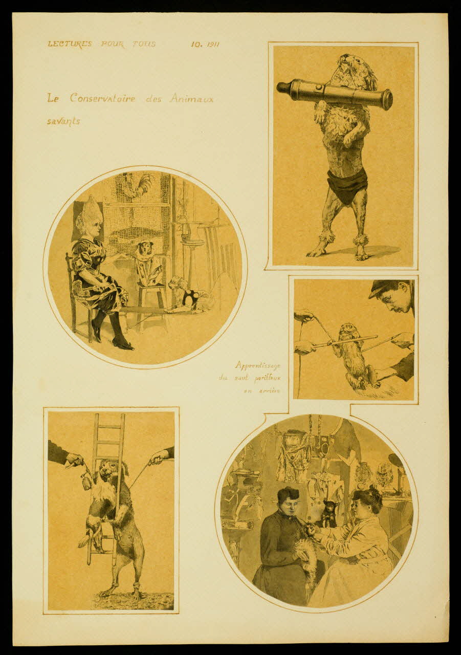 partie d'un ensemble de dessins Le Conservatoire des Animaux  savants 1968.102.4912 Photo Mucem