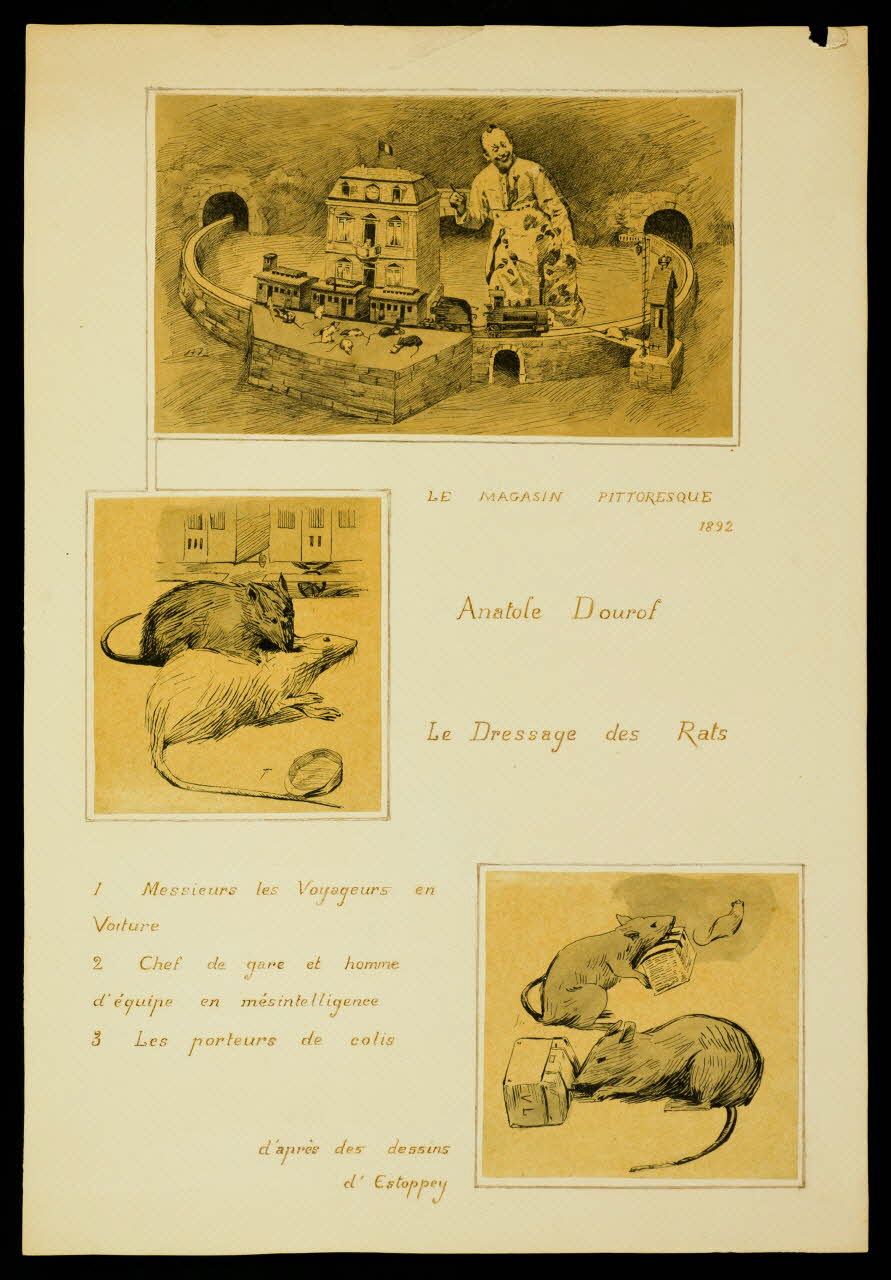 partie d'un ensemble de dessins LE MAGASIN PITTORESQUE  Anatole Dourof  Le Dressage des Rats 1968.102.4913 Photo Mucem