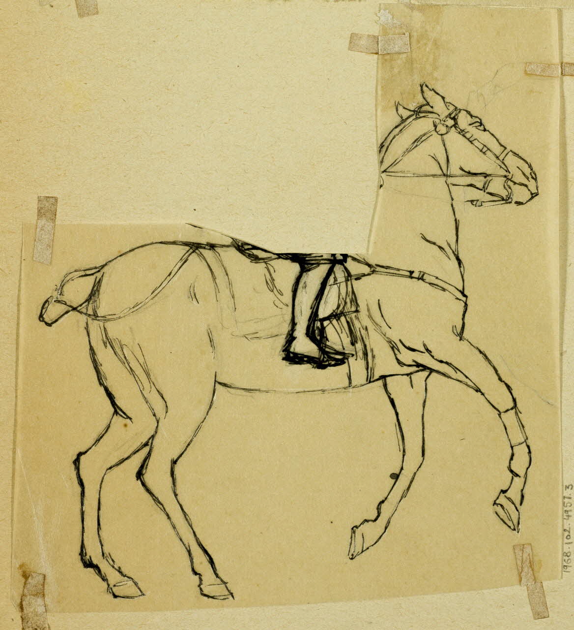 partie d'un ensemble de dessins Cheval 1968.102.4957.3 Photo Mucem