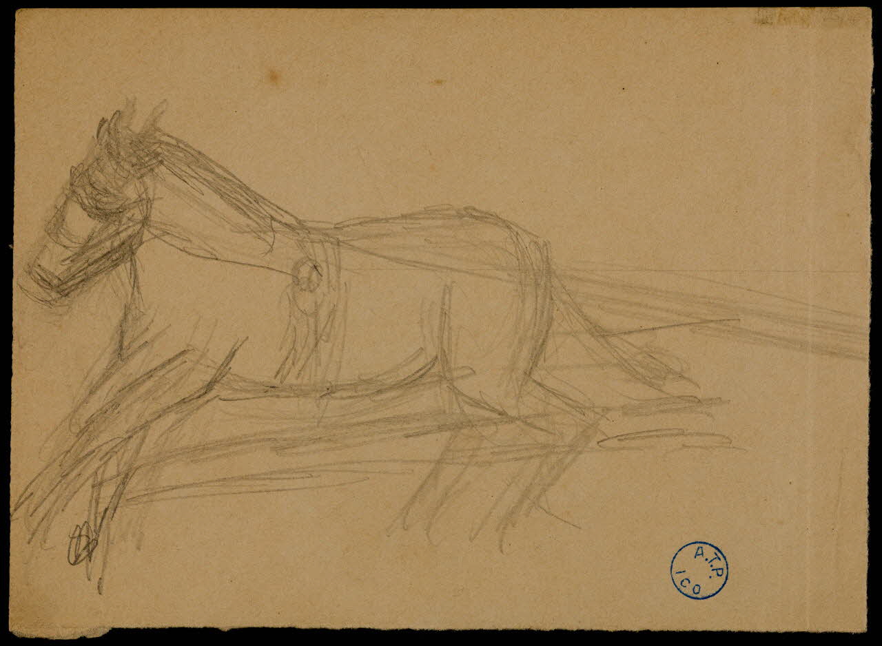 partie d'un ensemble de dessins Cheval 1968.102.501 Photo Mucem