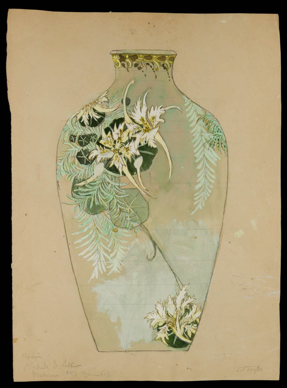 partie d'un ensemble de dessins Capucine  Hybride de Lobb 1968.102.5075 Photo Mucem