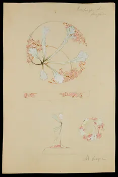 partie d'un ensemble de dessins Saxifrage et  fougère 1968.102.5104 Photo Mucem