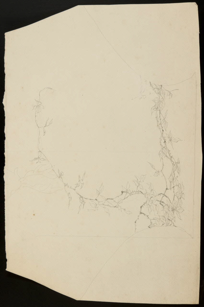 partie d'un ensemble de dessins Décor végétal 1968.102.5107 Photo Mucem