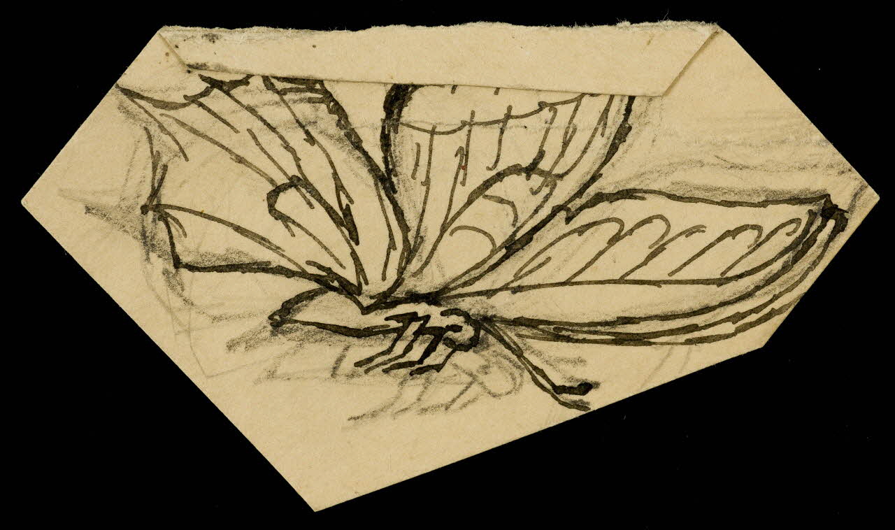 partie d'un ensemble de dessins Papillon 1968.102.5110 Photo Mucem