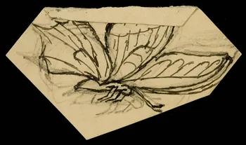 partie d'un ensemble de dessins Papillon 1968.102.5110 Photo Mucem