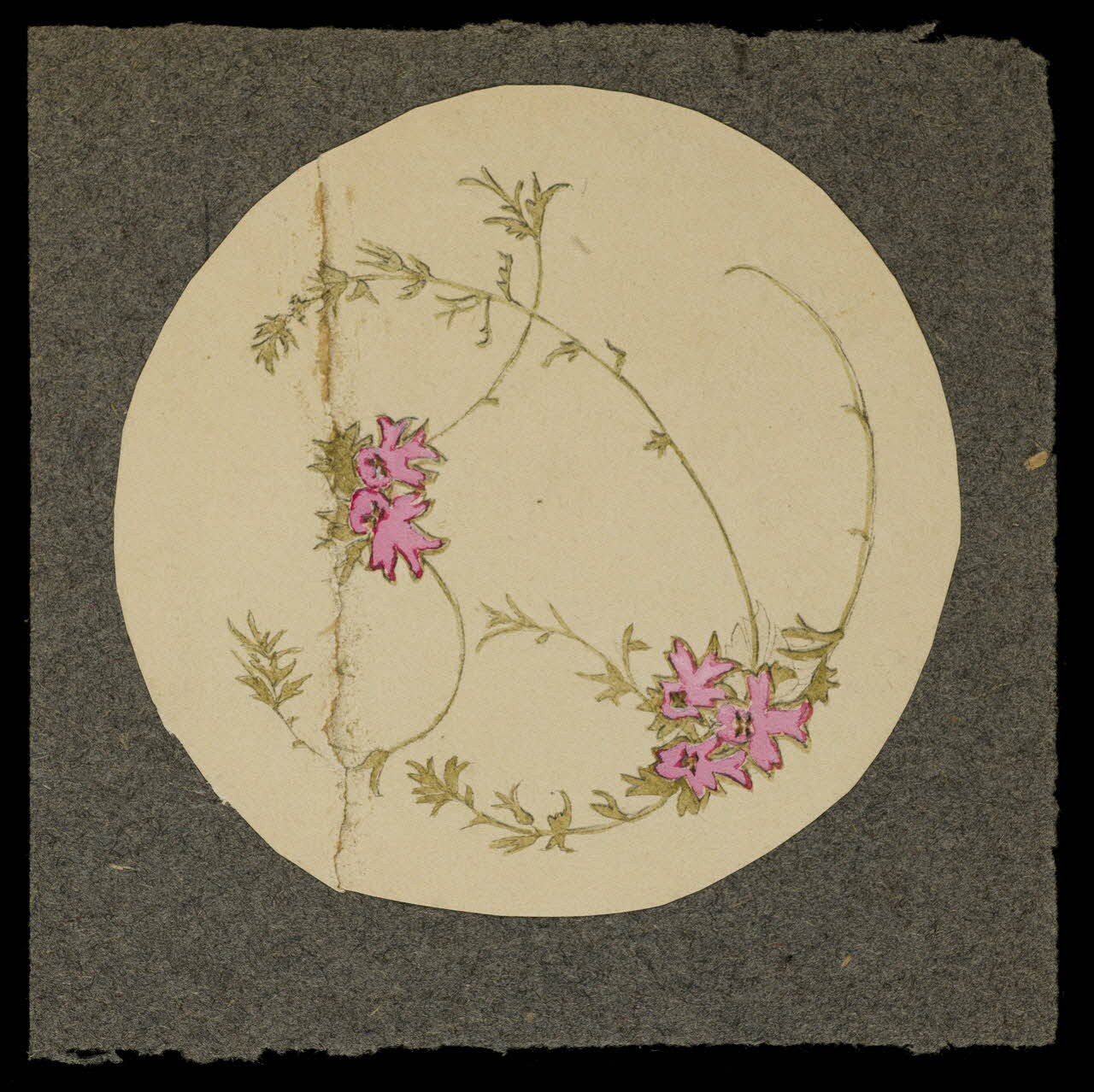 partie d'un ensemble de dessins Décoration végétale 1968.102.5129 Photo Mucem