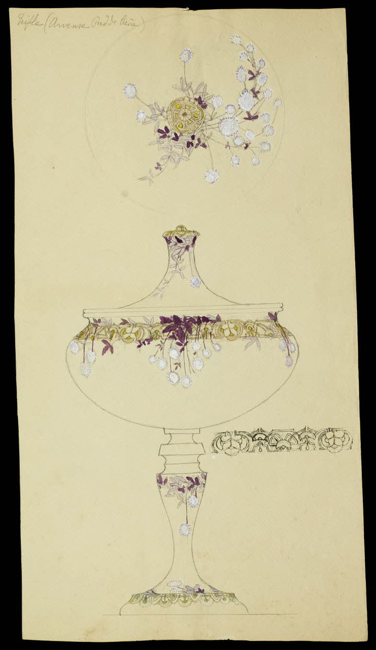 partie d'un ensemble de dessins Trifle (Arvense Pied de lièvre) 1968.102.5258 Photo Mucem